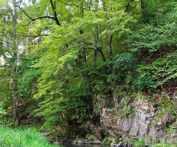 Kamp alanı Fox Cesky Krumlov Kájov